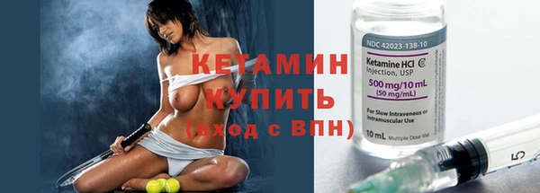 индика Дмитров
