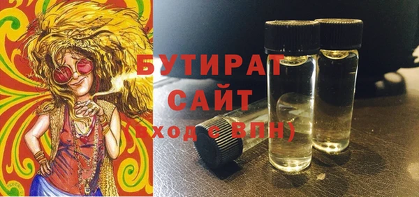 индика Дмитров