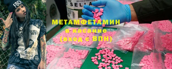 индика Дмитров