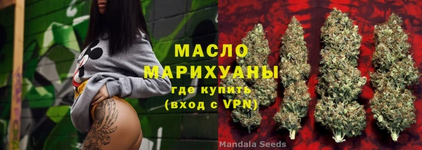 индика Дмитров