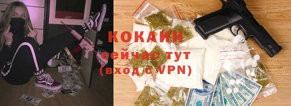 молекула духа Заволжье