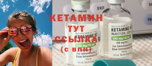 амф Дмитриев