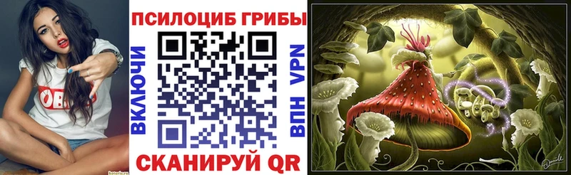 Псилоцибиновые грибы Cubensis  Печора 